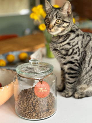 Round Personalised Leather Treat Jar Label For Your Pet, Pet Reward Label.