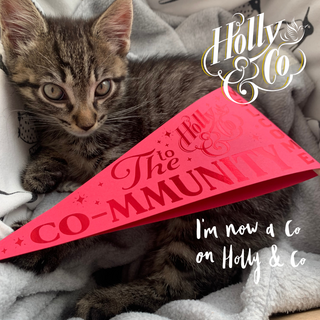 I can finally tell you a secret...