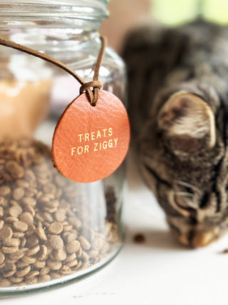 Gifts For Your Pets