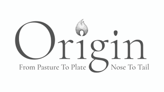 Origin